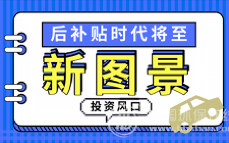 新能源汽车冰火交替 行业巨变之际亟待“鲶鱼”入水 