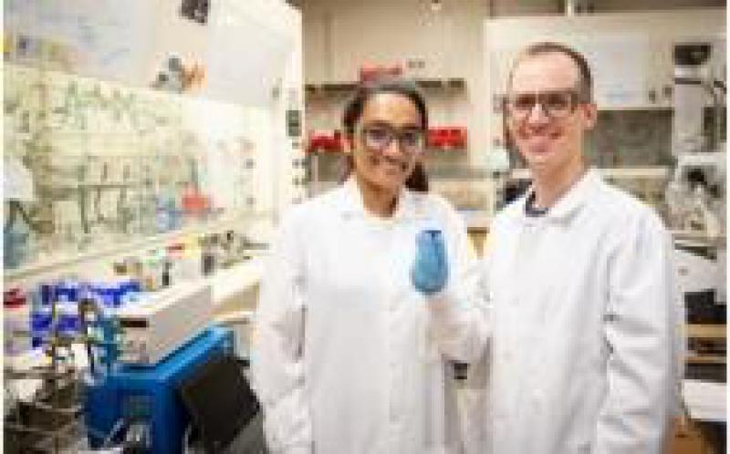 蓝色电池？纺织品中使用的染料显示出储能潜力