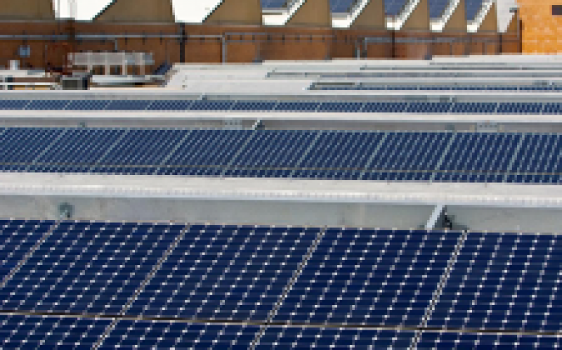 中国的太阳能补贴削减了特朗普关税的影响