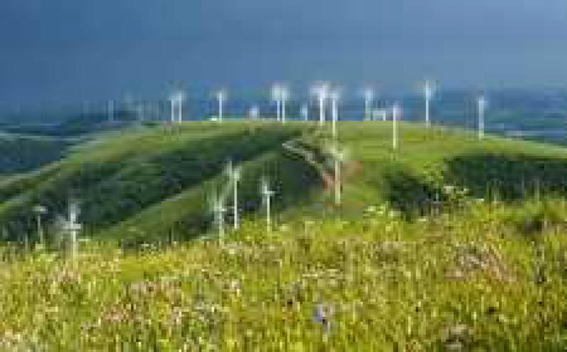 金雷风电上半年净利润4006.91万元