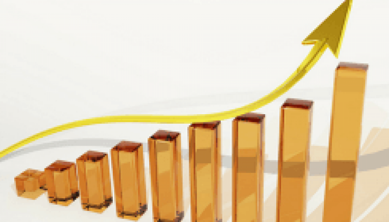 政府PSU农村电气化公司的净值增长了6％