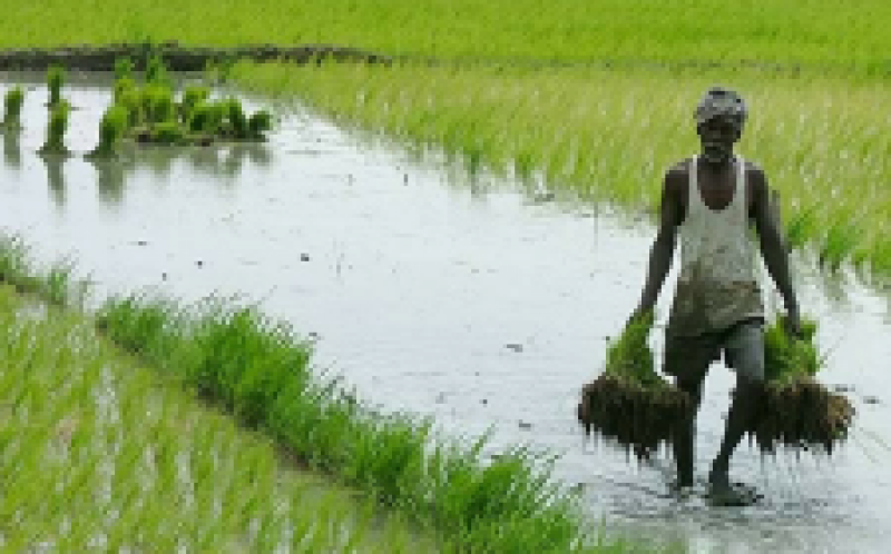 太阳能是印度农业部门的改变者