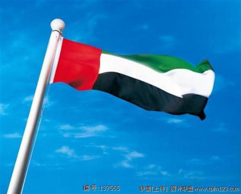 阿联酋将在能源、水电及交通部门将投资1.3万亿迪拉姆