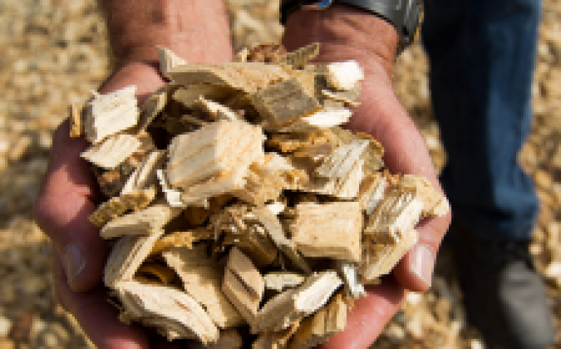 欧盟的生物质：最新的能源指令