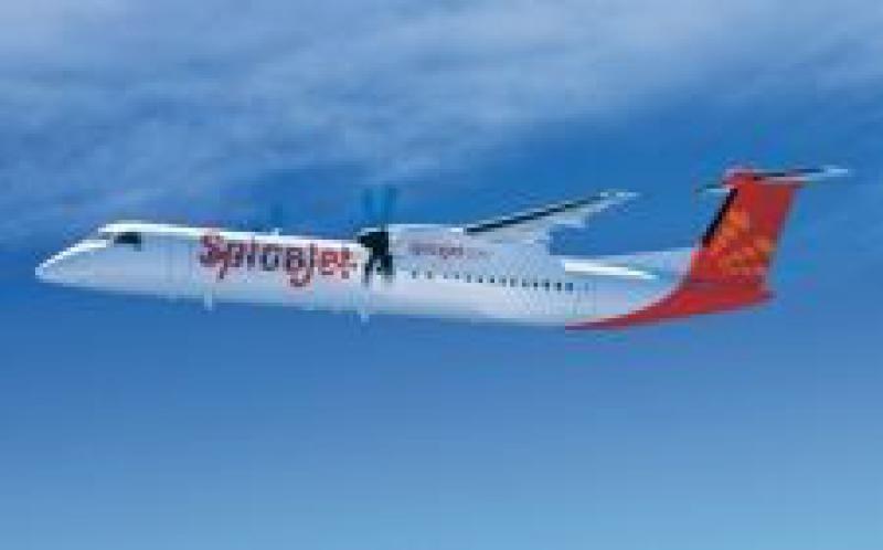 麻风树：印度的第一次生物燃料飞行