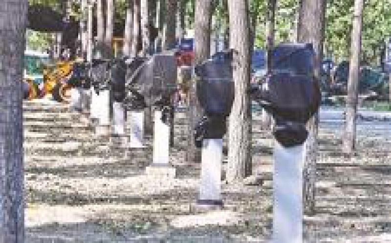 北京市正在研究公用充电桩考核政策