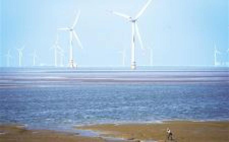 “风光产业”加速智能转型