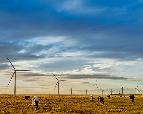Acciona被授予维多利亚州（澳大利亚）的风电场