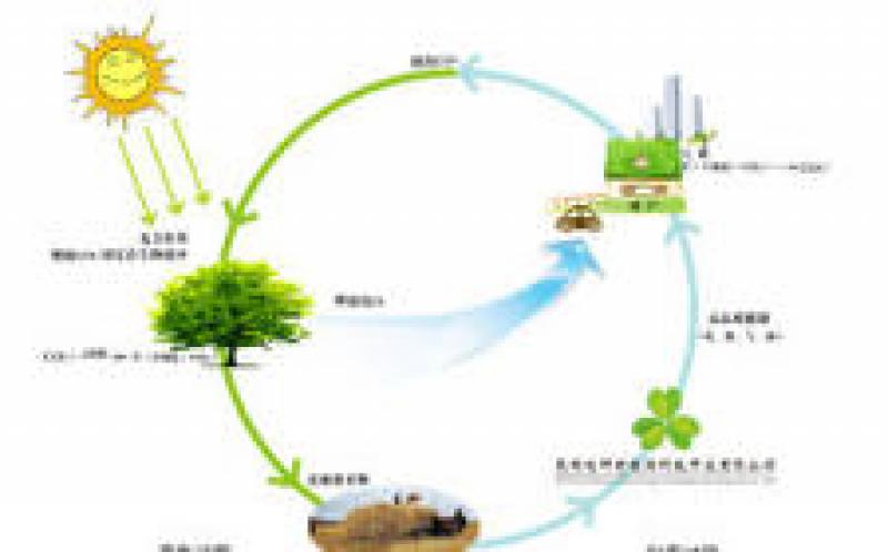 南非能源概况：生物质能