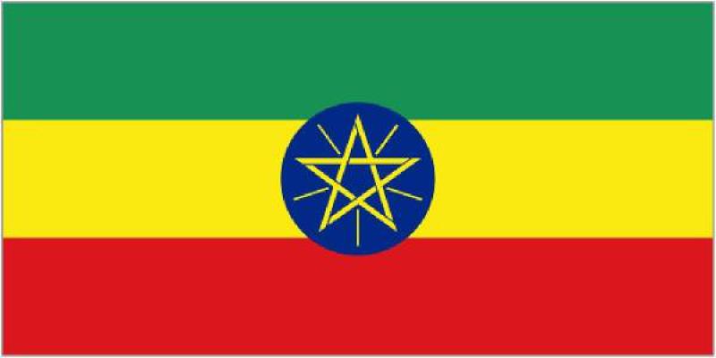 埃塞俄比亚能源概况：太阳能及最佳实践案例