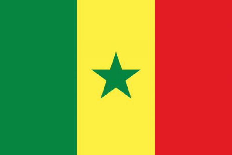 塞内加尔能源政策及发展战略