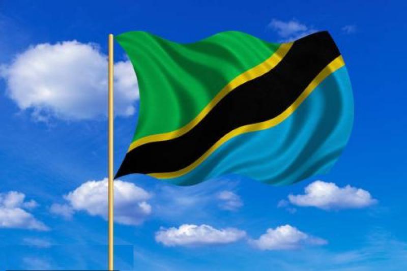 坦桑尼亚能源政策