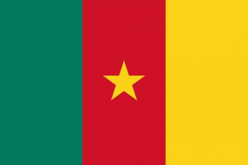 喀麦隆能源政策框架