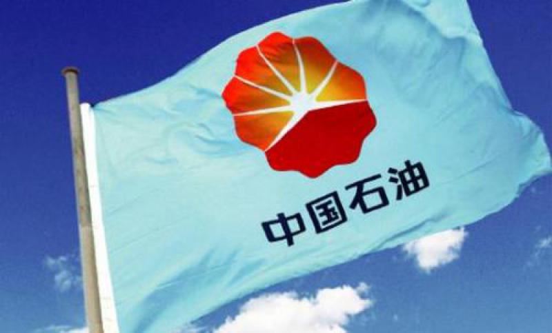 中国石油：带动非洲资源国经济社会发展
