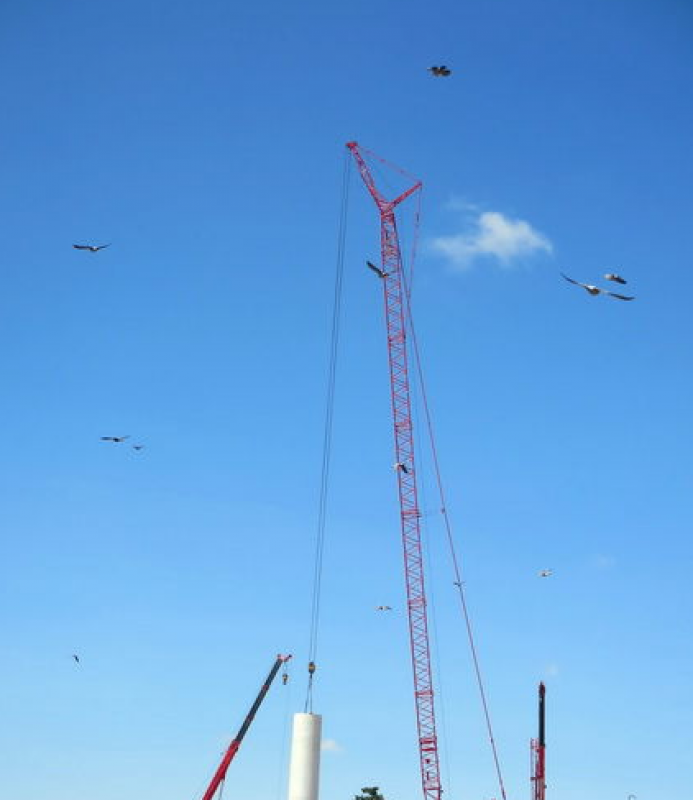 非洲第一大风电场阿达玛风电场