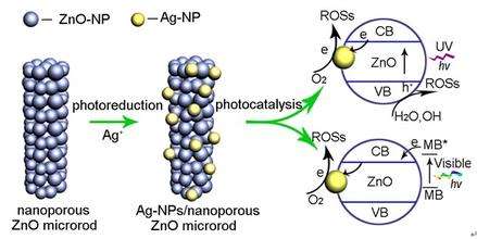 新办法使微生物“发电热情”倍增