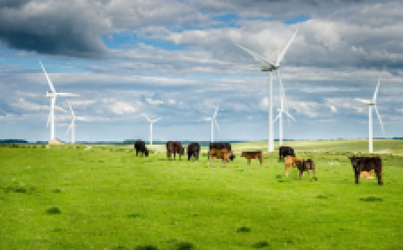 英国达到了风能里程碑：20GW的装机容量和三分之一的能源组合