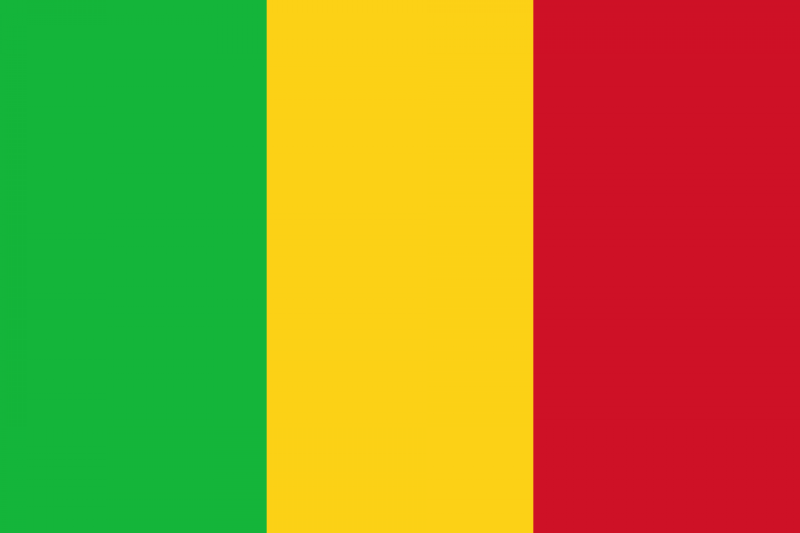 马里能源部门的机构设置和参与者