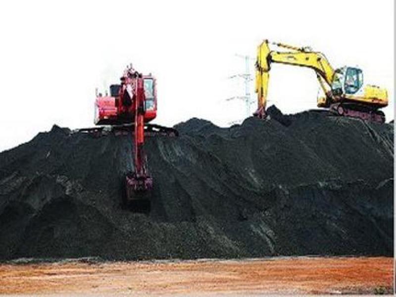 进口煤一周涨20元/吨！