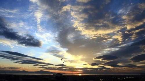 报告显示：苏格兰继续领导英国减少温室气体排放