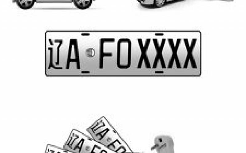 新能源车牌 最新办理流程看这里