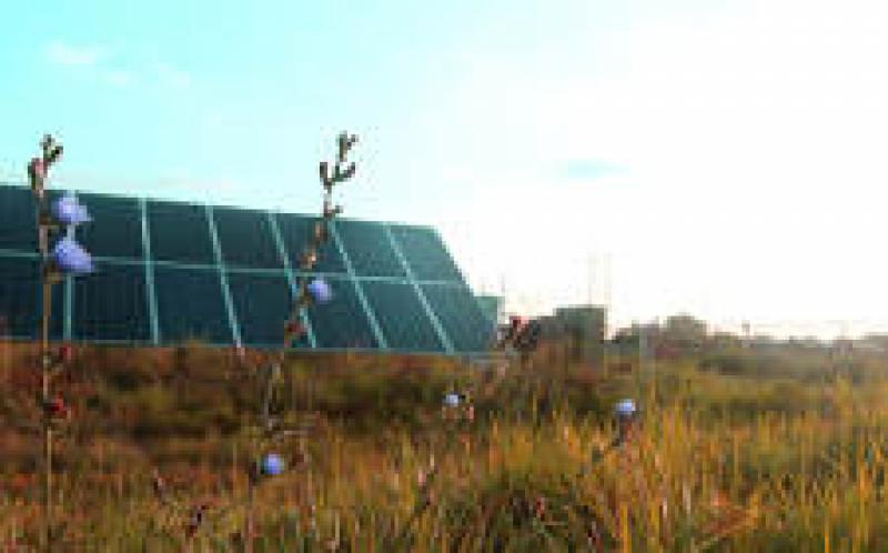 太阳能和能源存储在印第安纳州赢得大奖