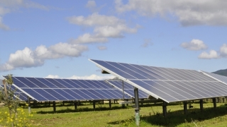 荷兰银行ING帮助立陶宛人在波兰的太阳能农场融资