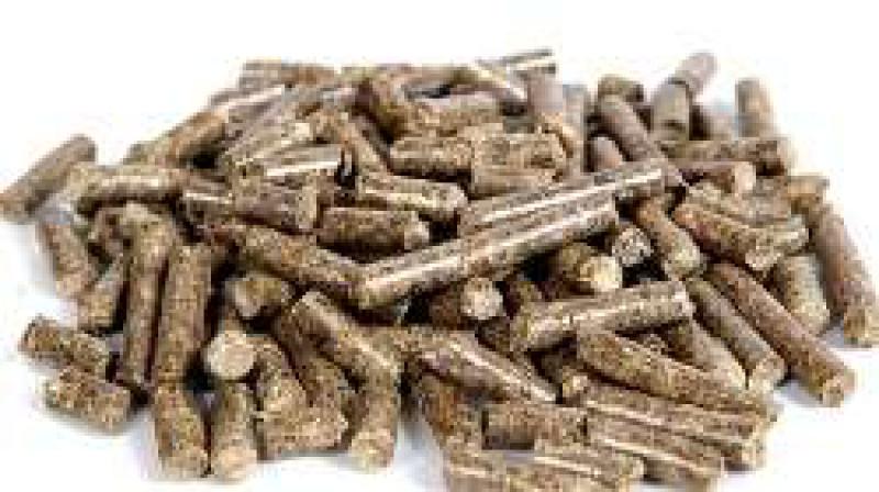 自动发热？俄罗斯合成新型生物质燃料