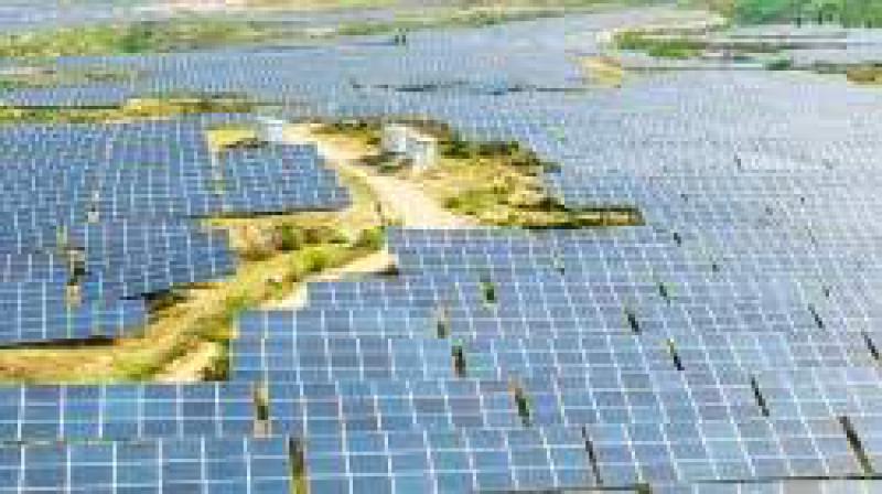 Risen Energy为越南项目增加了50兆瓦的太阳能