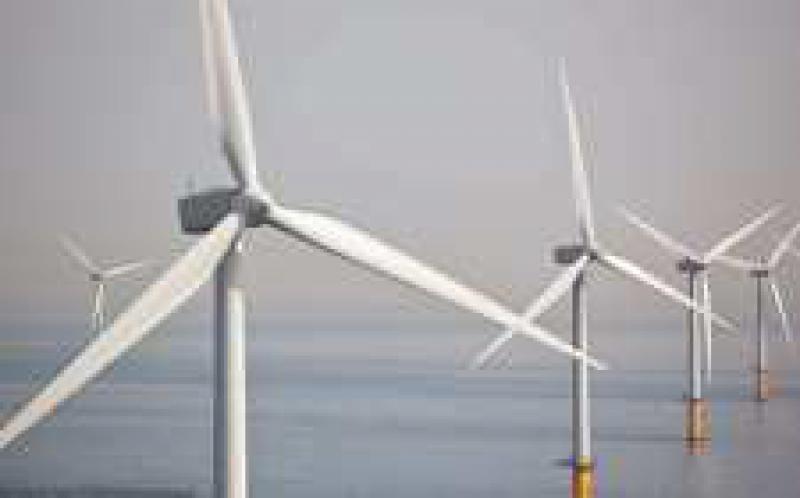 美媒：5年内中国将成最大可再生能源消费国