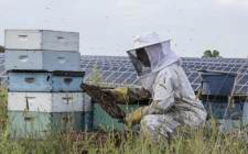 空间和时间特异性：100％可再生能源的新高标准