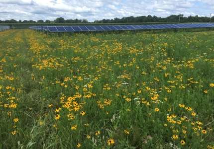 威斯康星州的太阳能将增长33％