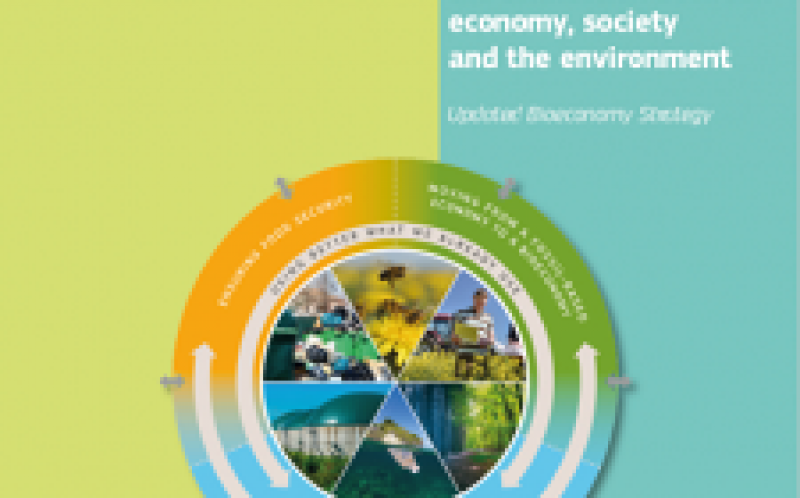 欧洲生物经济与细微差别打开了生物能源的差距