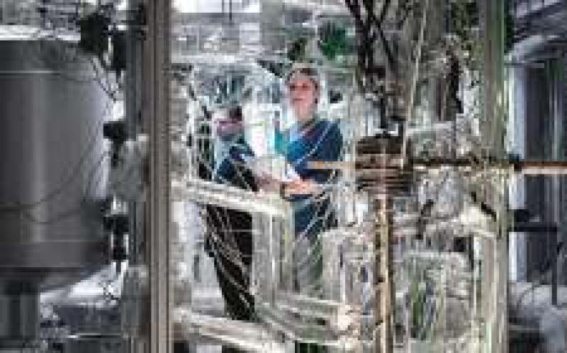 NADINE：发电厂规模的储能