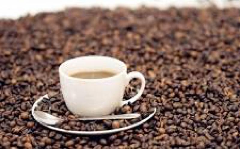 英开发微生物燃料电池 可将咖啡废料转化为电能