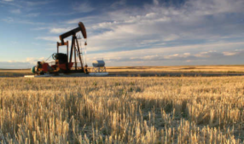 印度原油产量下降4.19％，推动9月份进口依赖度达到83.7％