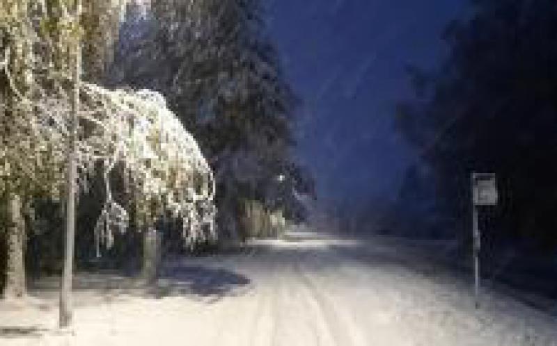 爱沙尼亚南部地区受暴风雪影响，致数万家庭无电