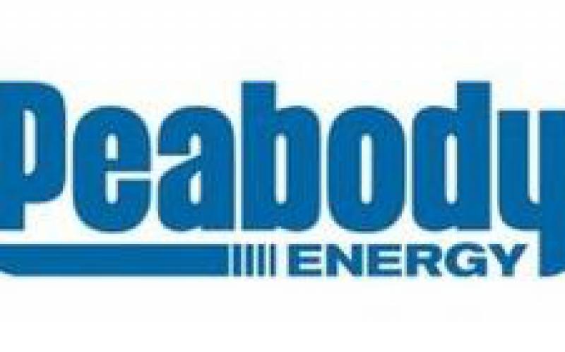 联邦委员会赞成煤炭而非石油开发