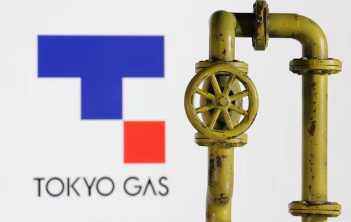 CorPower Ocean获日法新投资者 加速波浪能项目开发