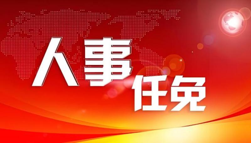 南方电网领导层调整