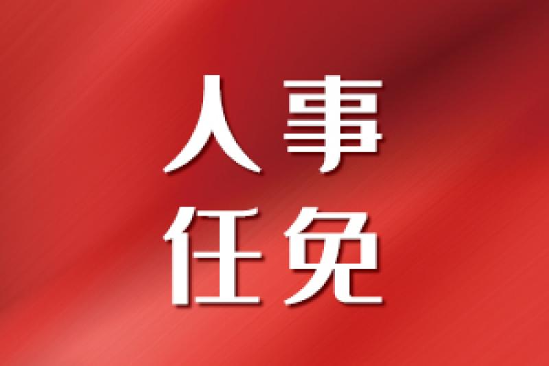 国家电投总经理调整