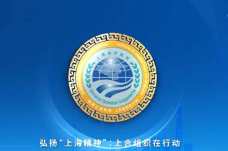 上海合作组织成员国元首理事会关于能源可持续发展的声明