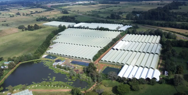 肯尼亚花卉种植园储能系统实现清洁能源转型