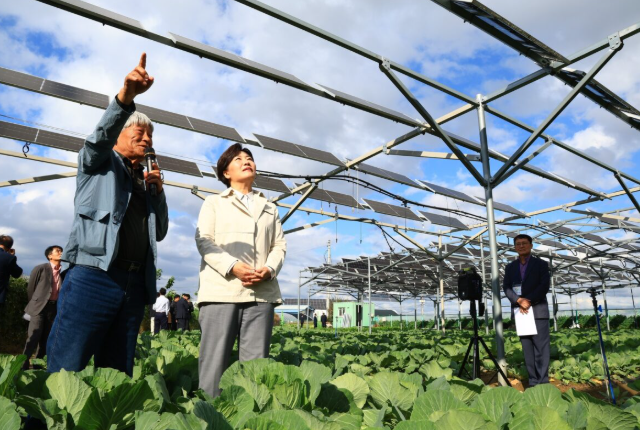 韩国推进农业光伏项目法案制定与产业部署