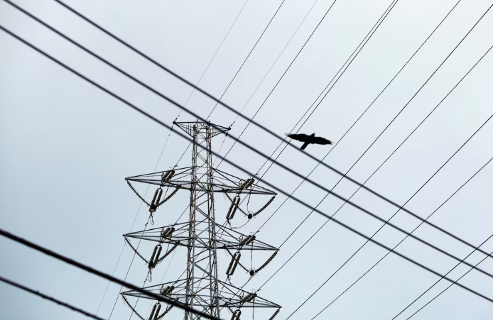 日本电力开发公司宣布关闭燃煤电厂并推进海上风电项目