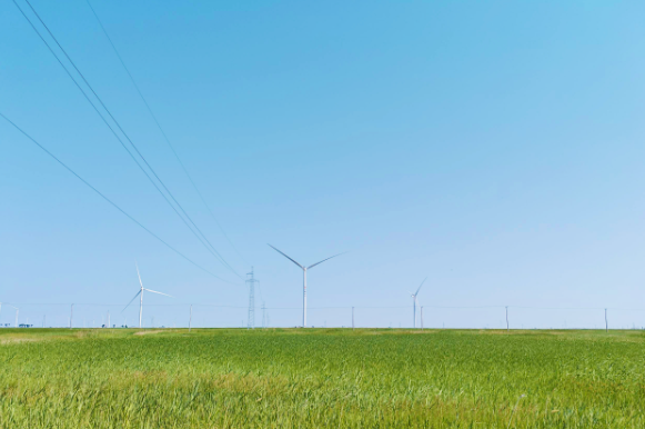 全球最大单体绿氨装置——大安风光制绿氢合成氨一体化风电项目全容量并网