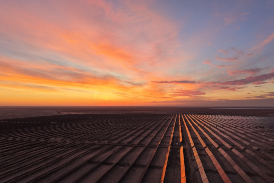 上海申能(集团)有限公司走出去建设的单期容量最大光伏项目竣工