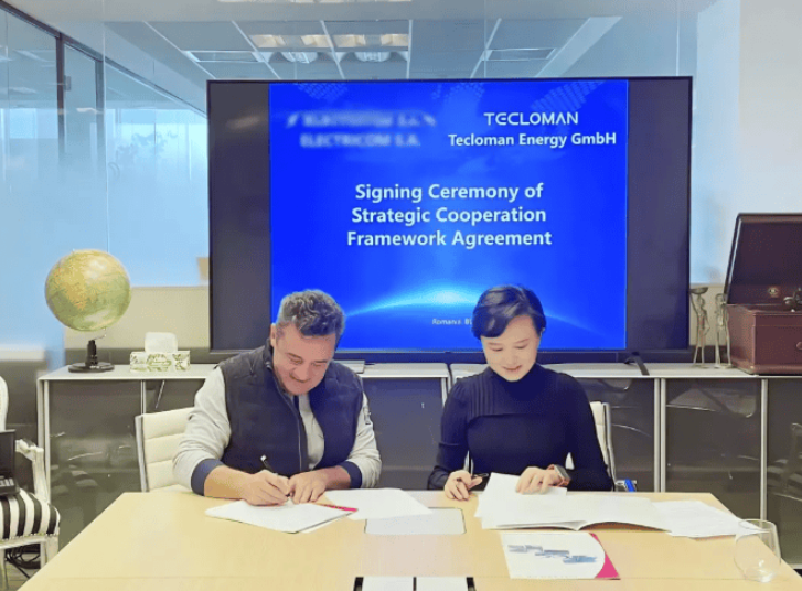 特隆美储能中标罗马尼亚大型储能项目